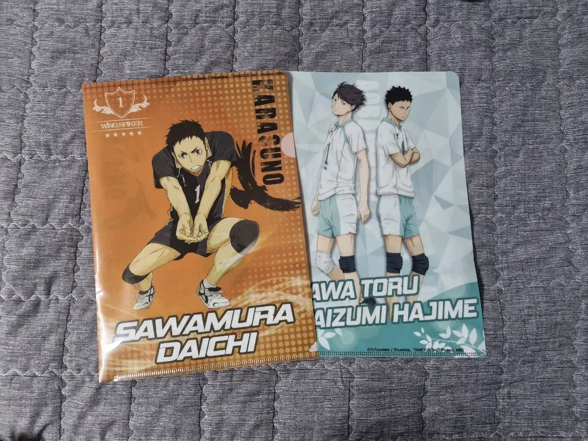 Haikyuu Karasuno Aobajosai Clear File WTS