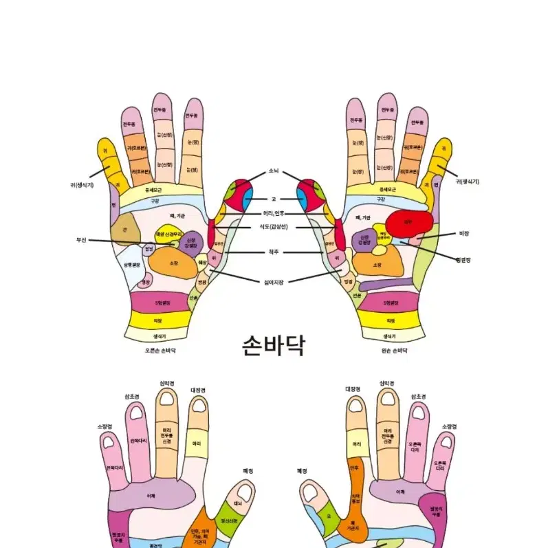 셰퍼 메디핸드 손마사지기 JSK-20076 온열 손목 공기압 부모님 선물