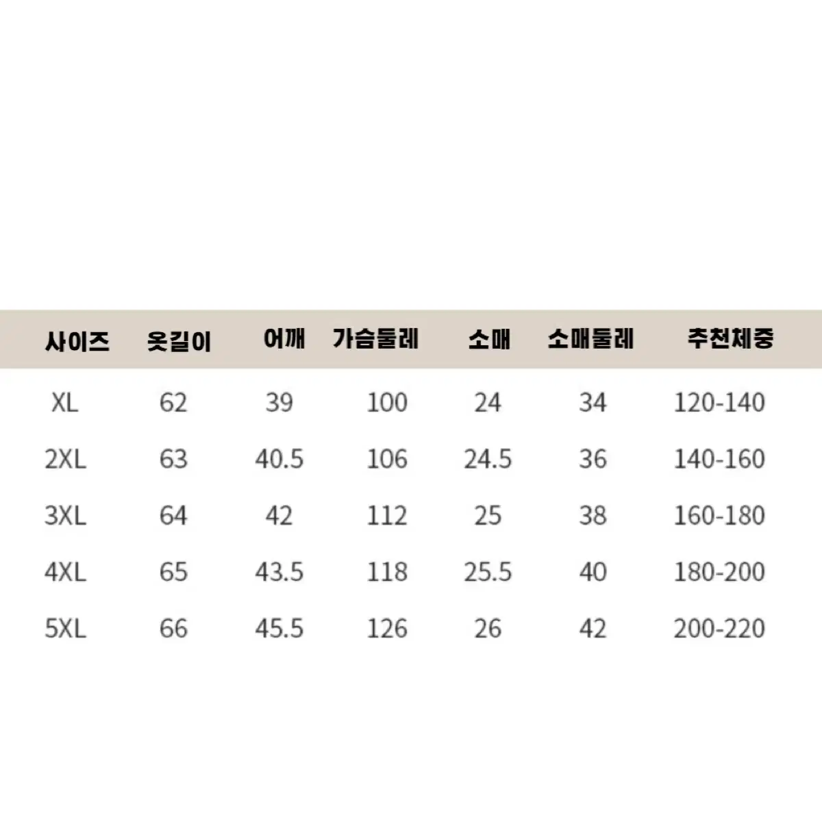 여성 반팔 티셔츠 포인트