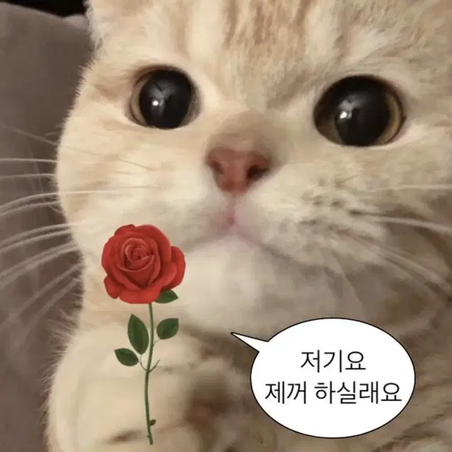 뜰팁 아무거나 받아요