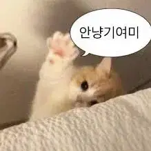 뜰팁 아무거나 받아요