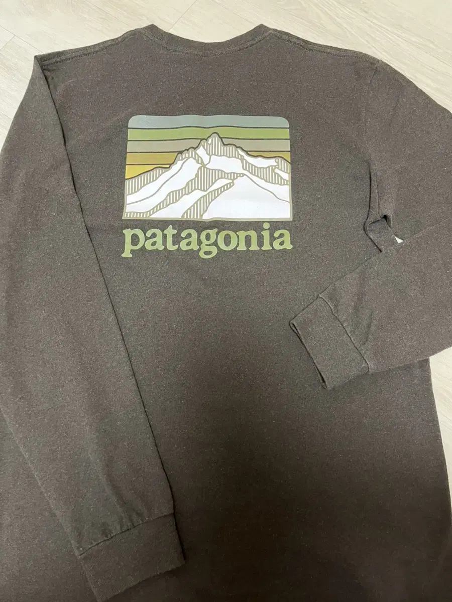 Patagonia Long Sleeve Logwood