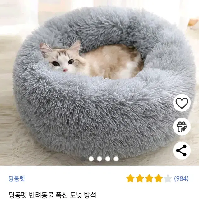 새끼고양이 세트(케이지, 캣타워등)