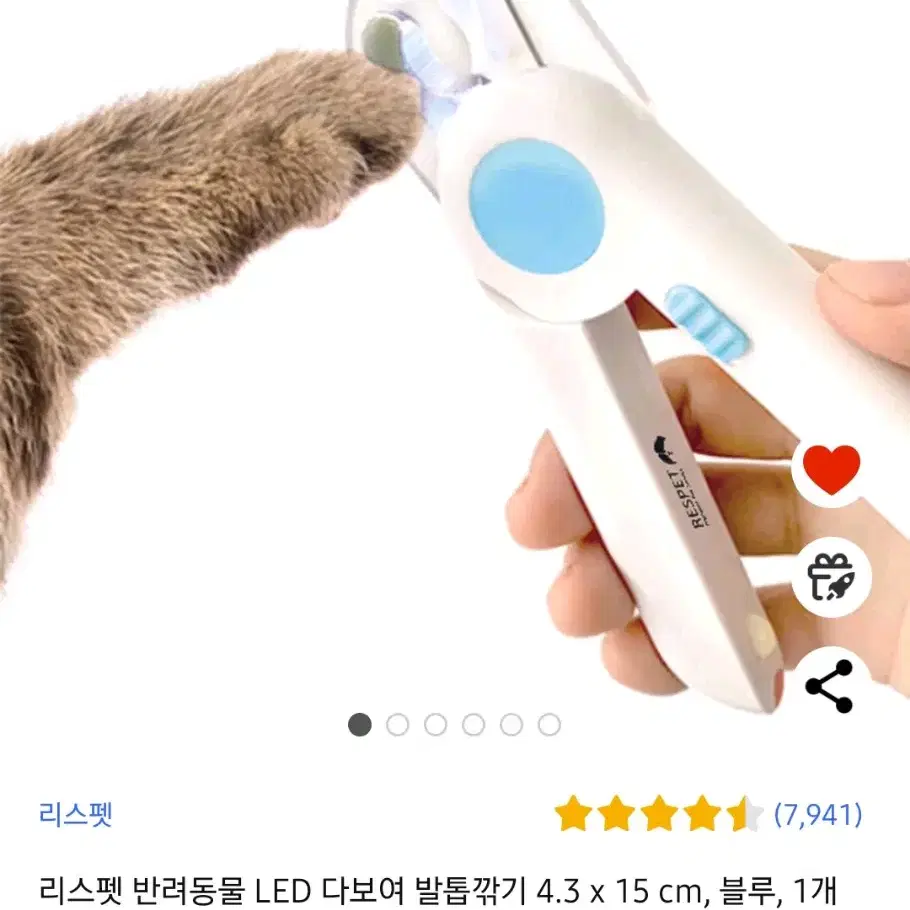 새끼고양이 세트(케이지, 캣타워등)