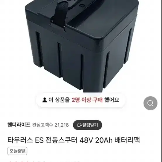 타우러스 배터리 48v20an