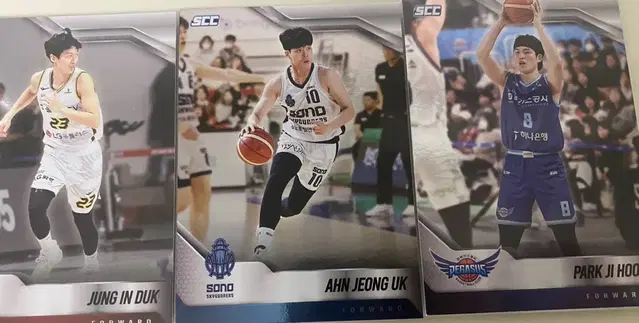 Kbl 카본카드 베이스패러렐