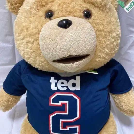 말하는 거대 곰인형 19금 TED2