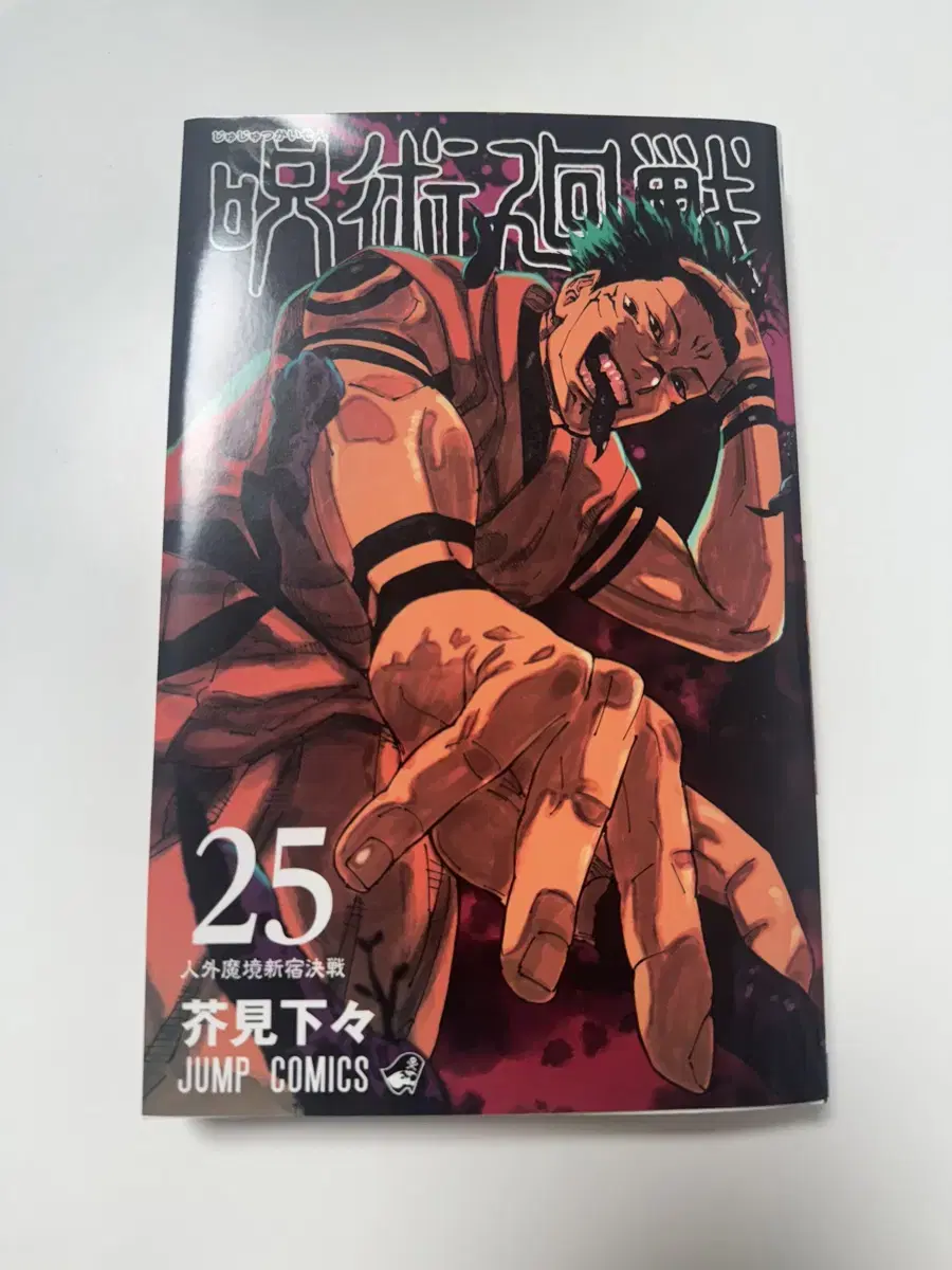 The 25th volume of the Shamanic Spinning Wheel, Megumi Sukuna's original book, maintained by Megumi Sukuna