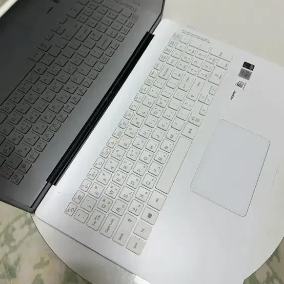 그램 17인치 i5 512GB 8G