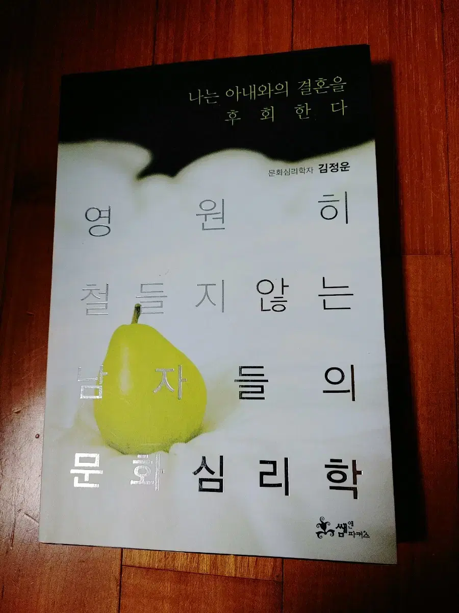 # 영원히 철들지않는 남자들의 문화심리학(김정운)