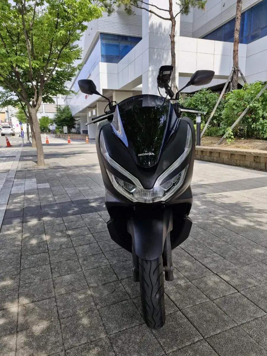 DB-048/ 혼다 / PCX /20년식/ 6.5만km /자체 할부 판매