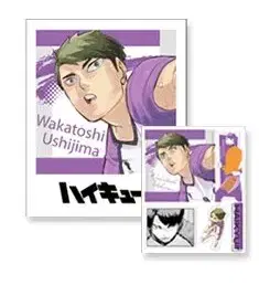 Haikyuu original polaroid sticker Ushijima sell WTS