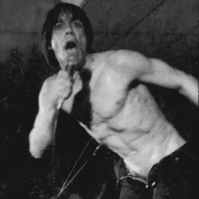 스투시 x stooges iggy pop 티셔츠