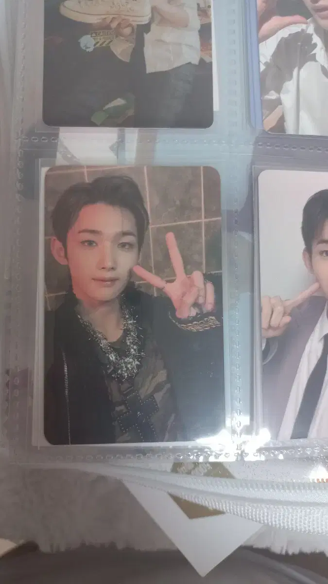 &team joe broadcast & fan club renewal photocard