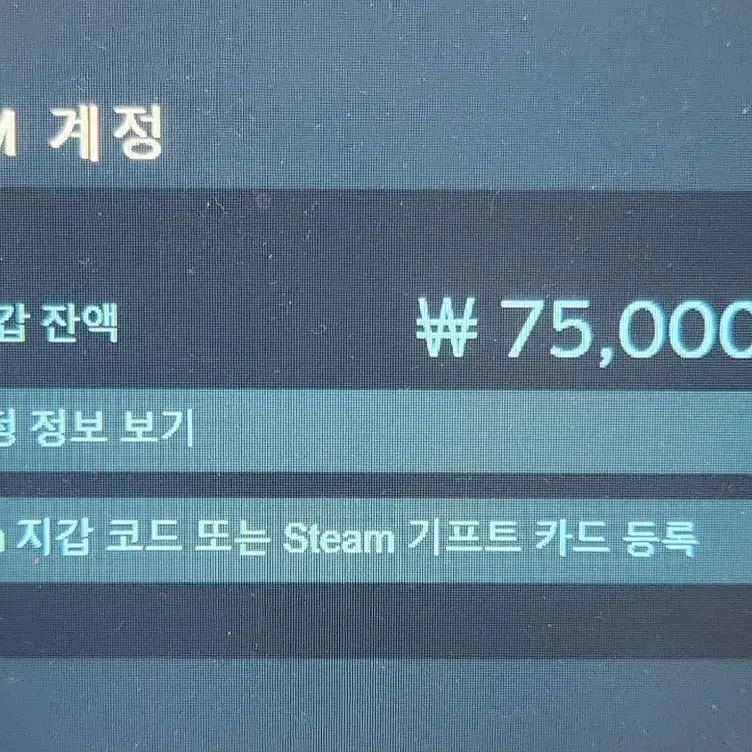 스팀 머니 판매