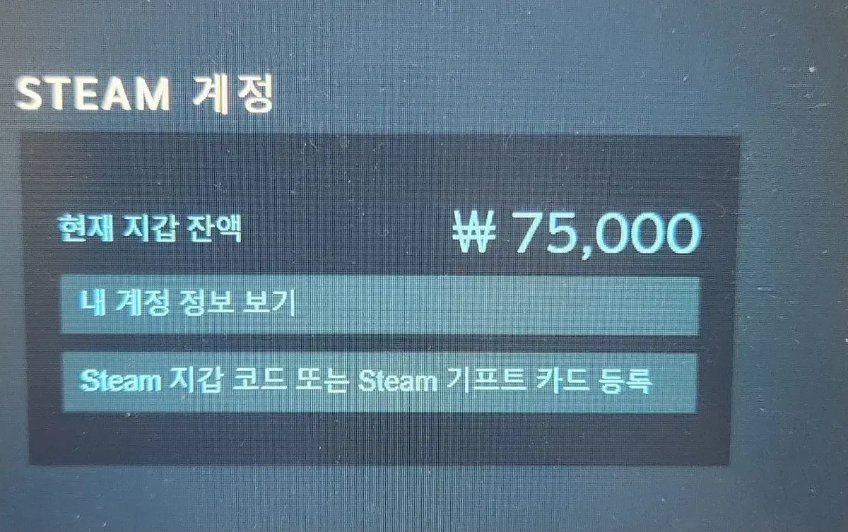 스팀 머니 판매