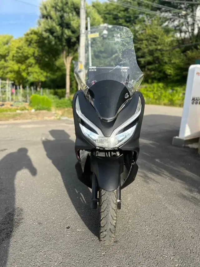 pcx125(2019)