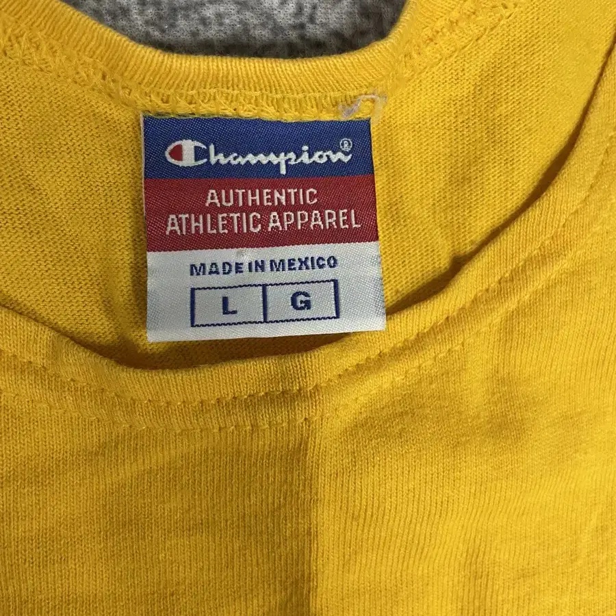 90s vintage Champion