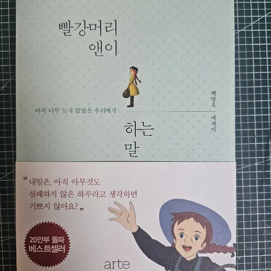 새책(네고문의 환영)