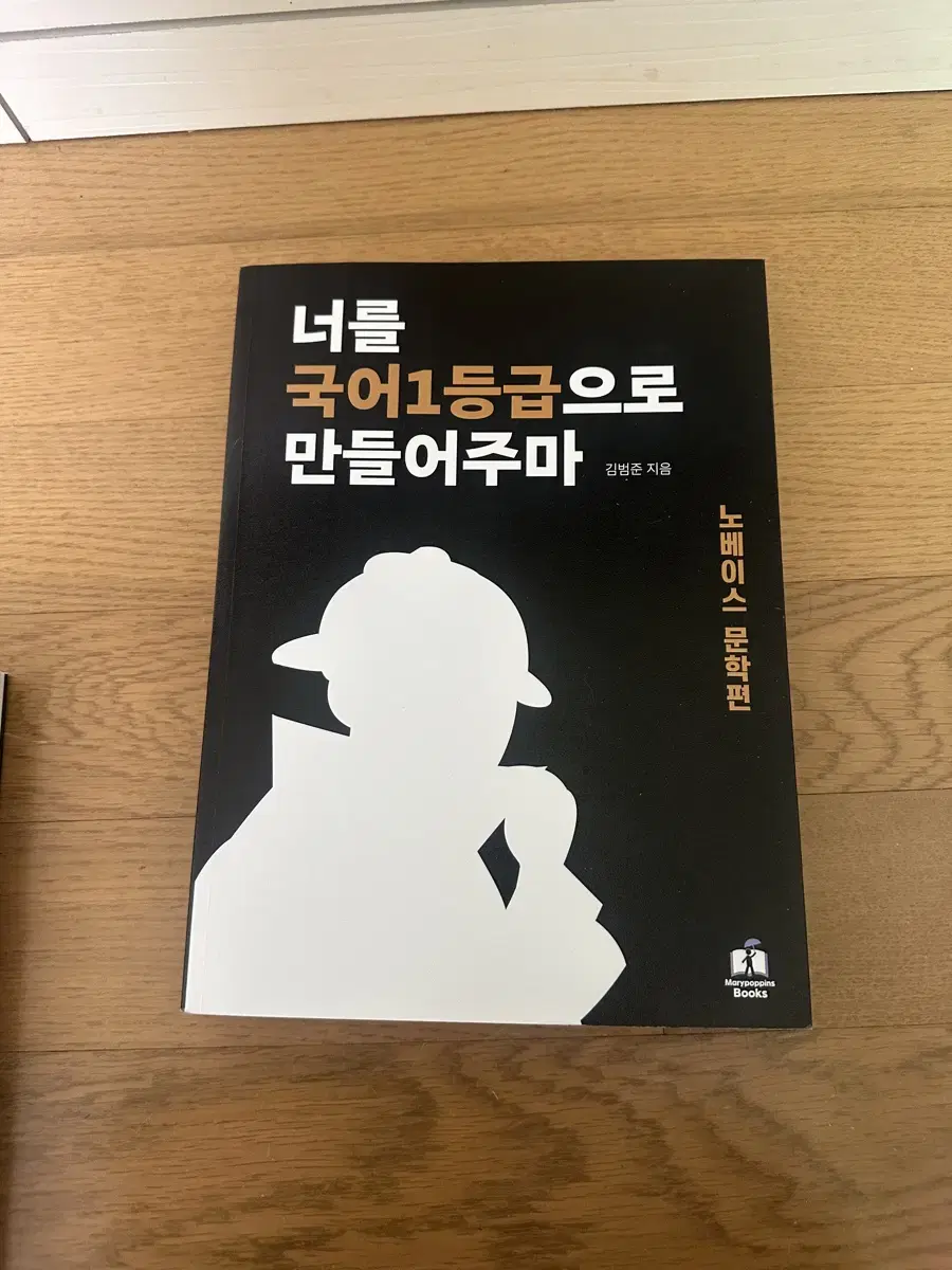 너를 국어 1등급으로 만들어주마 국일만 문학편