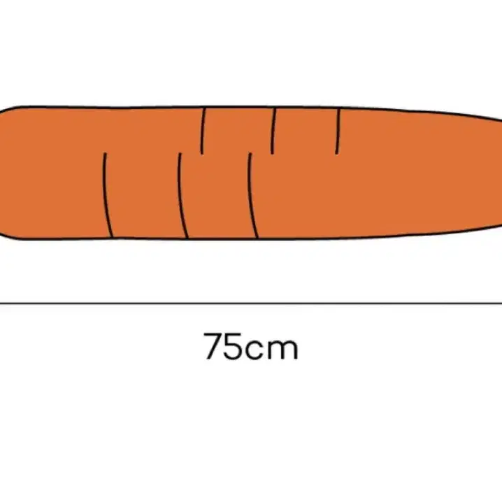 반려견 올치 테라조 넥카라 L+대왕당근삑삑이 세트