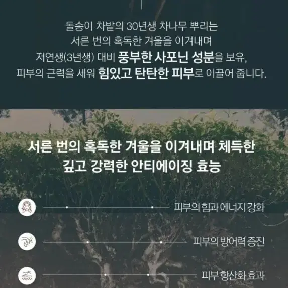 아모레퍼시픽(AP) 라인에이징 코렉터