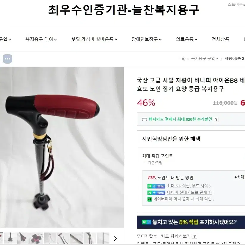 비나띠 아이온 사발 지팡이