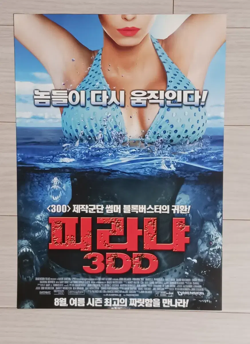 피라냐3DD(2012년)전단지