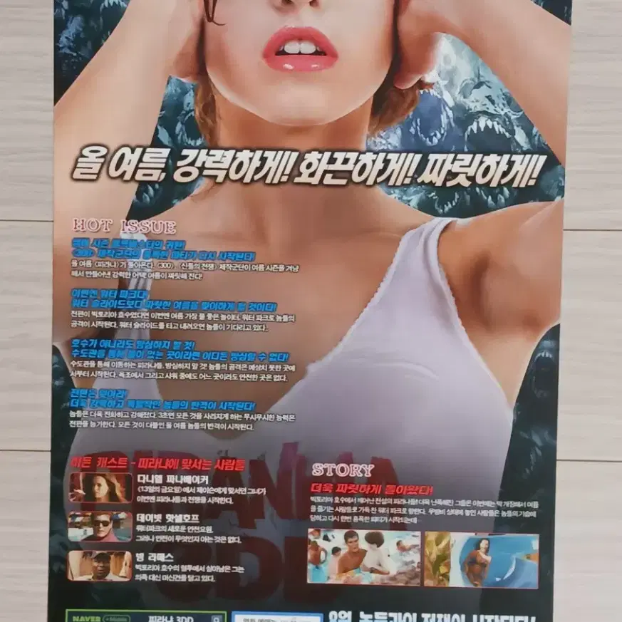 피라냐3DD(2012년)전단지