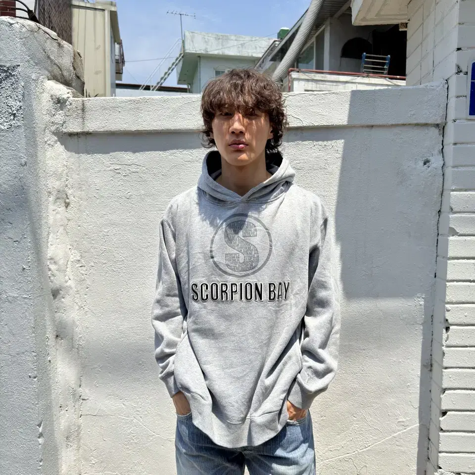 vintage scorpion bay graphic hoodie