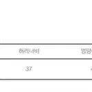 시눈 워크웨어 롱스커트