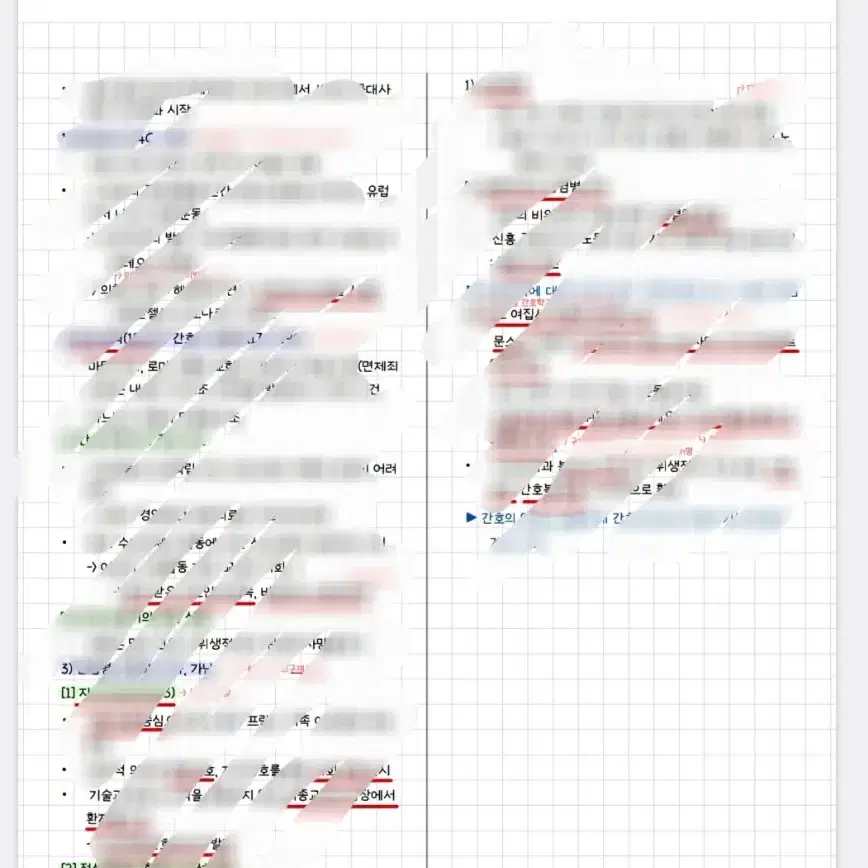 간호학과 간호학개론 정리노트 pdf 팔아요