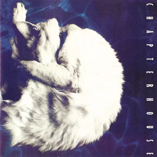 Chapterhouse - Whirlpool (CD) 영국초판 민트급중고