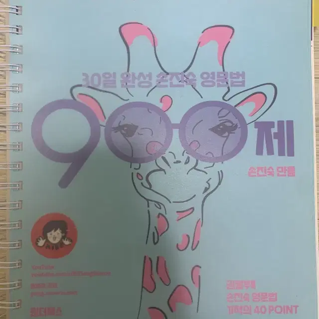 손진숙 영문법 900제