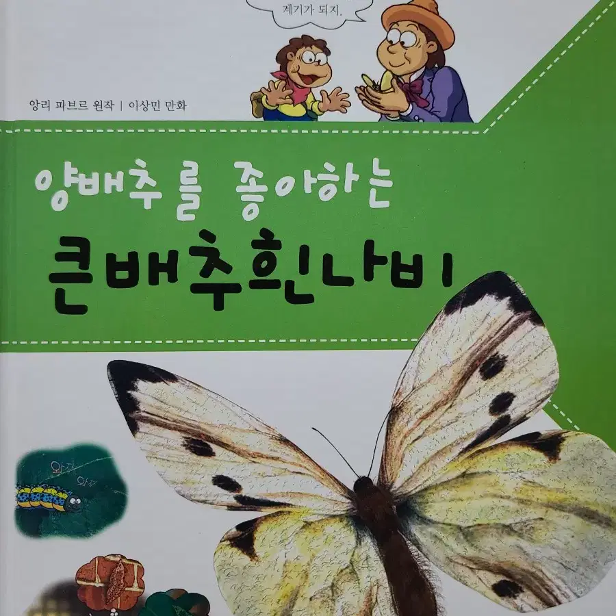 양배추를 좋아하는 큰배추흰나비