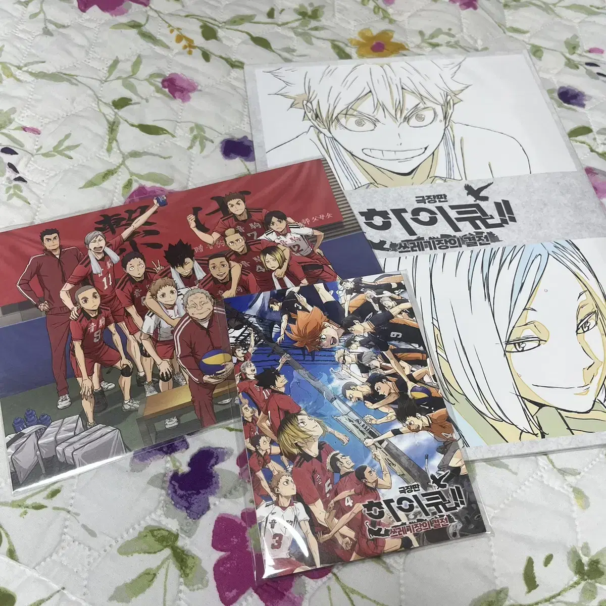 Haikyuu Tsuuden Battle Theater Edition pre-order benefit Memorial Book Nekoma Group Photo Karasuno Accordion Book