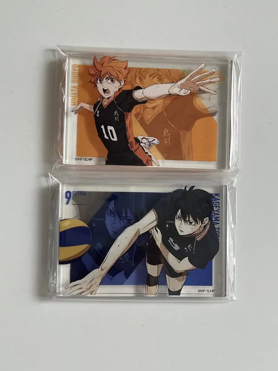 Haikyuu BASEYARD TOKYO acrylic (unsealed)