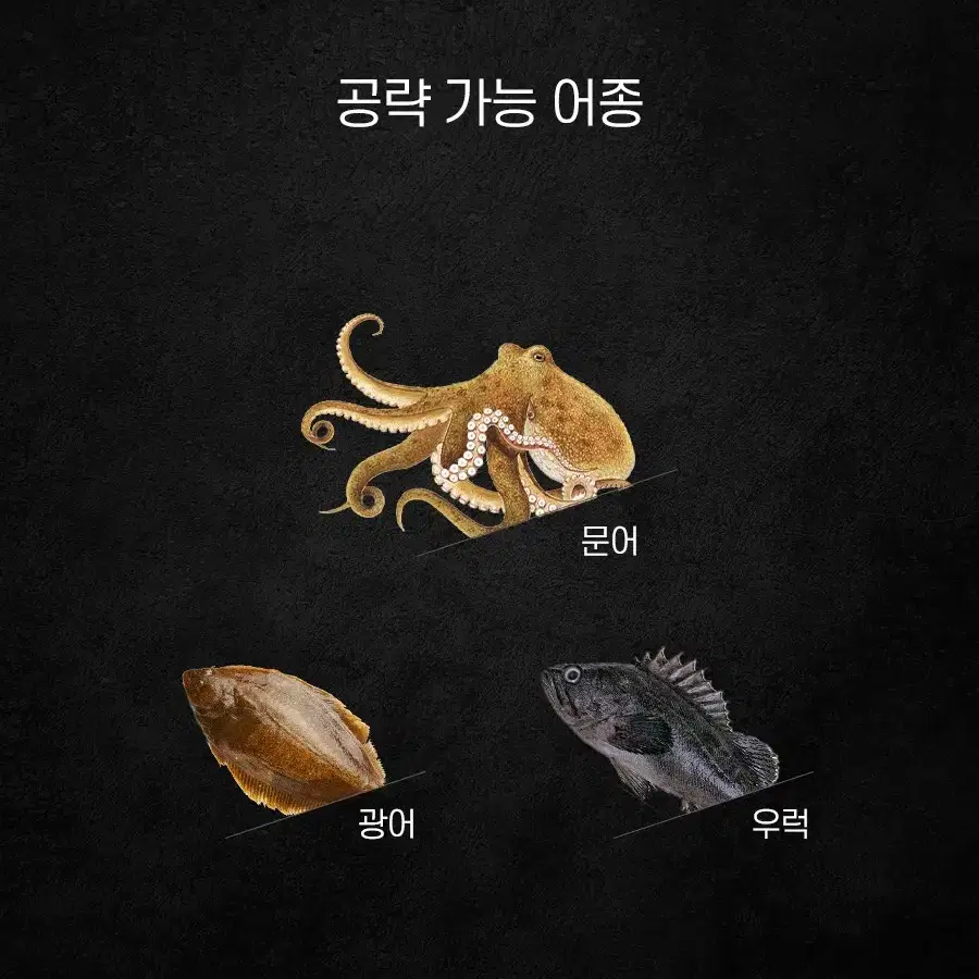 문어 낚싯대 MH대 문어 우럭 광어 낚시 새상품