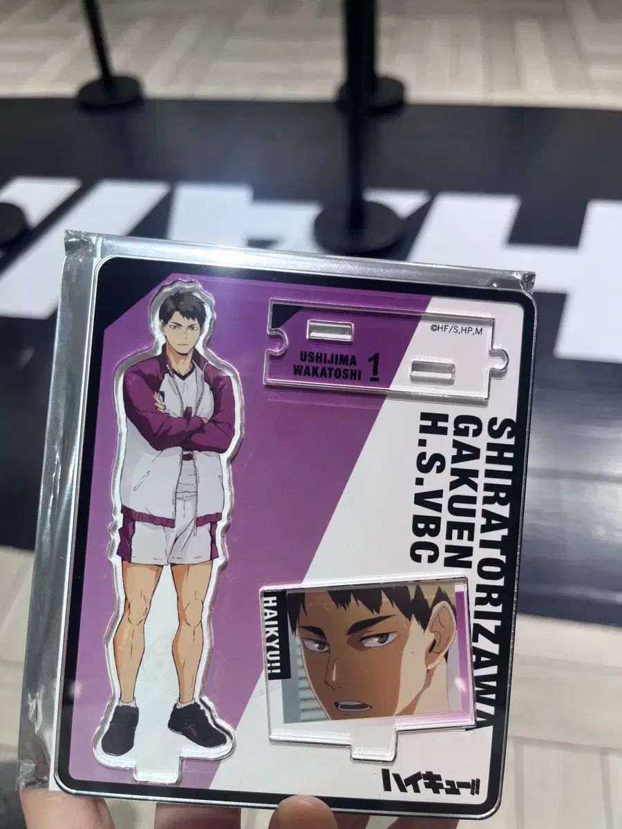 Haikyuu pop up sells trading diorama Ushijima