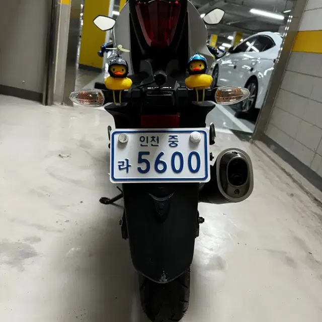 21년식 gsxr 125