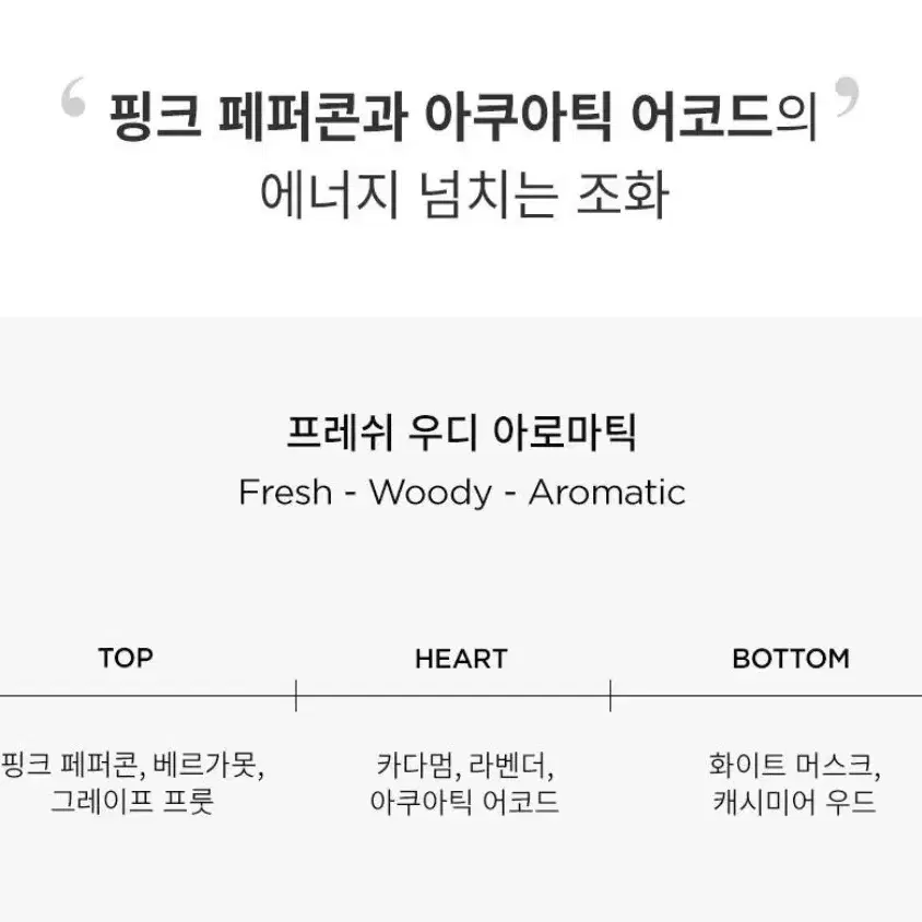 몽블랑 레전드 스피릿 50ml 향수