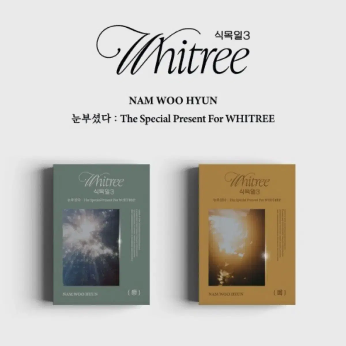 Infinite nam woohyun dazzled sealed special live album arbor day3 beatroad