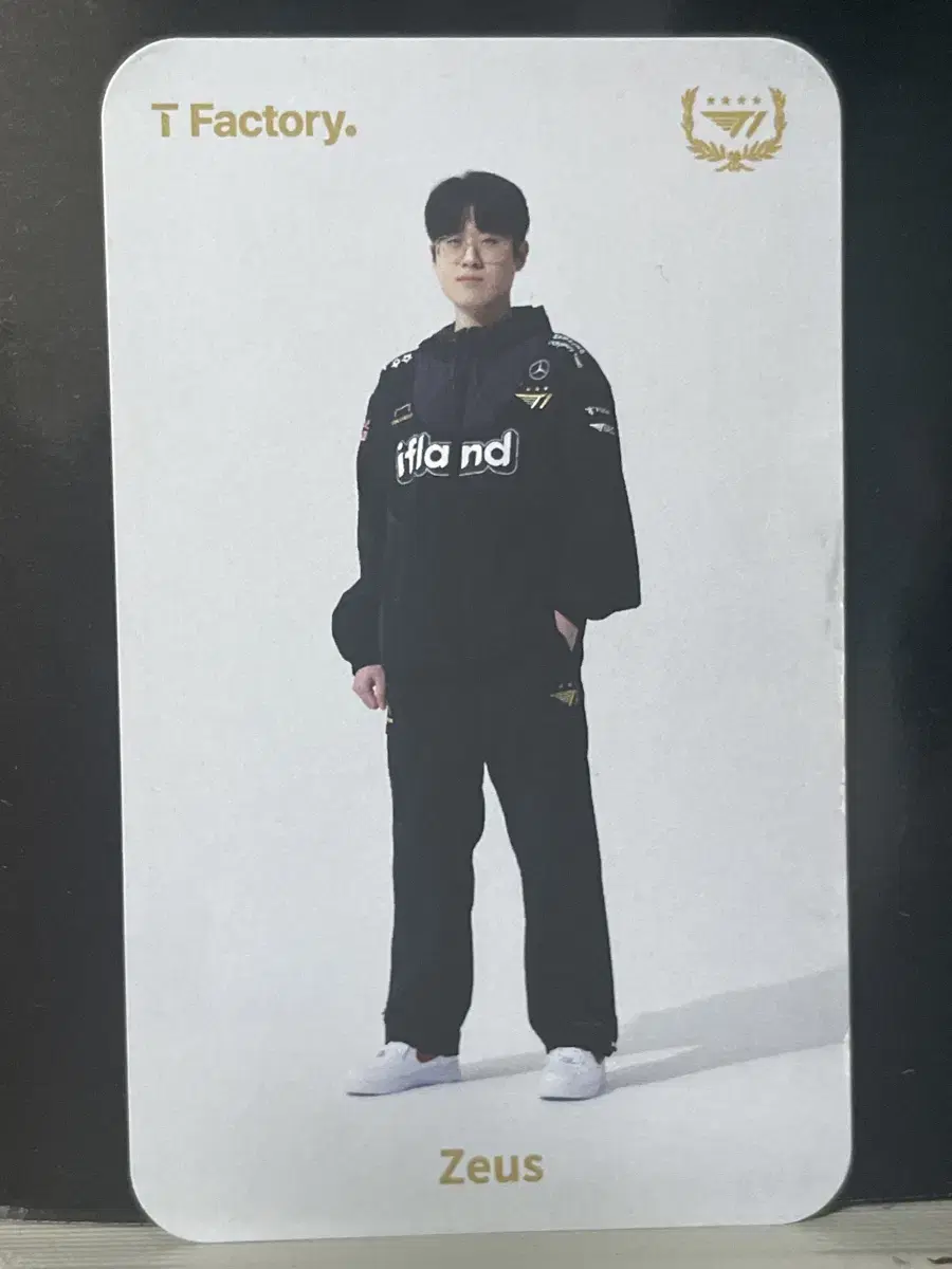 Zeus Tea Factory Photo Card