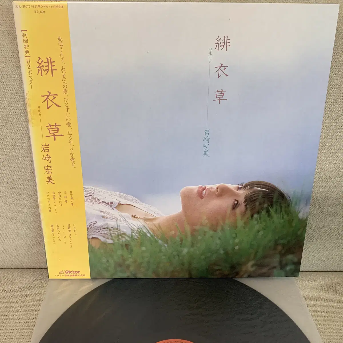 [JPOP] Hiromi Iwasaki - 81년 LP