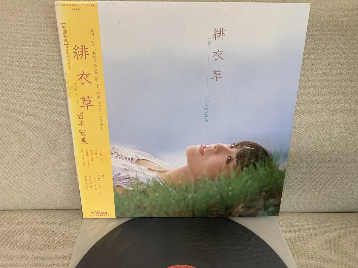 [JPOP] Hiromi Iwasaki - 81년 LP