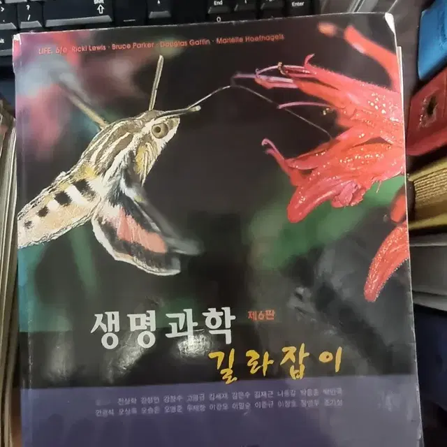 전공책들 팔아요