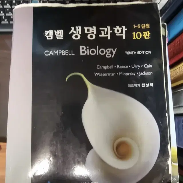 전공책들 팔아요