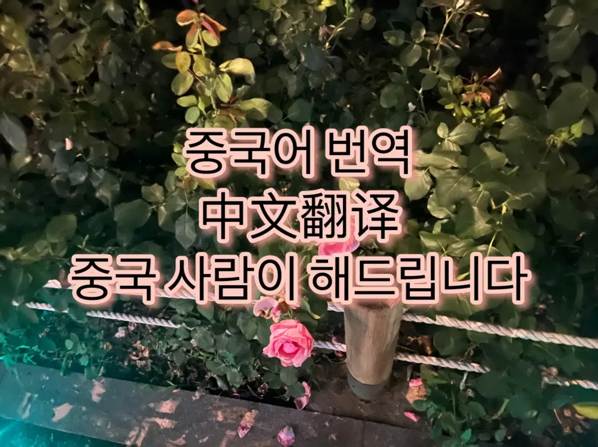 중국어 번역