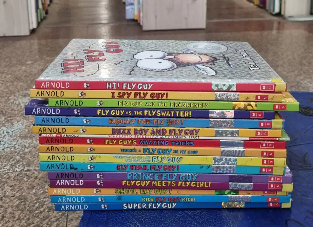 Fly Guy Series Scholastic 16-Book Set Children's Books English Books