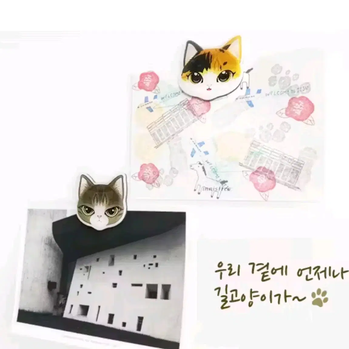 길고양이 마그넷 냉장고자석 4개 일괄